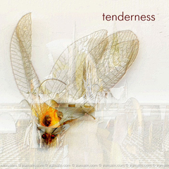 Art wall prints - Tenderness