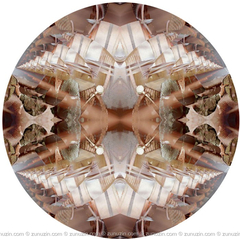 Digital art for sale - System IV