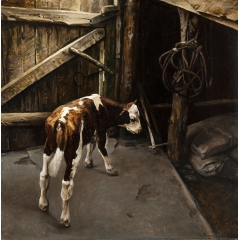 On a farmyard