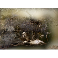 Weariness II