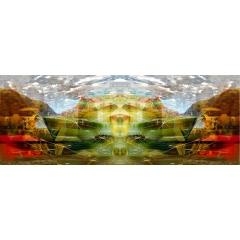 Reflection XI