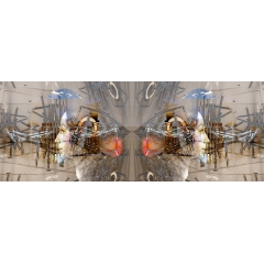 Variation III
