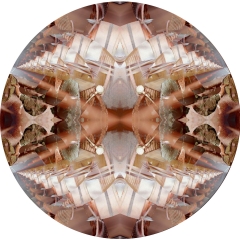 System IV