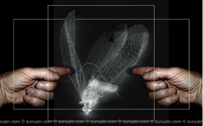 Digital art for sale - Sign 9