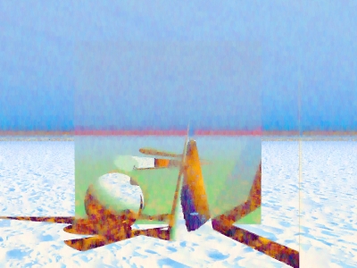 Still life in the snow