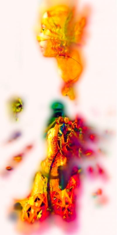 Portrait of a Woman II