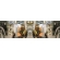 Symmetry V